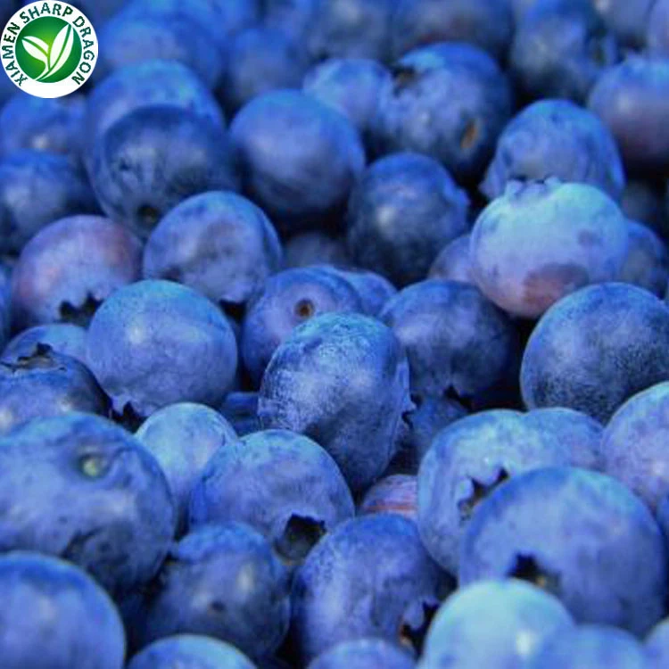 blueberry fruit for export blueberry fruit for export