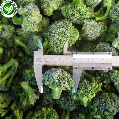 Brocoli frais surgelé