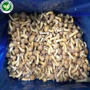 Champignon Nameko en chinois