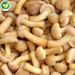 Prix des champignons Nameko