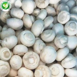 Nutrition des champignons blancs