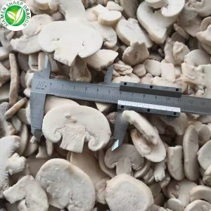 Prix Champignon Blanc