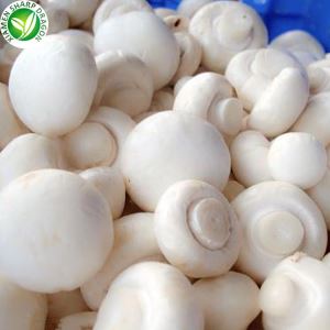 Champignons Entiers Blancs