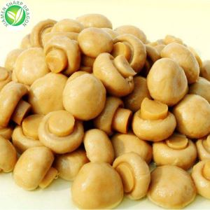 Champignons blancs en conserve