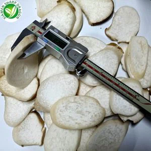 Champignons Pleurotus Eryngii