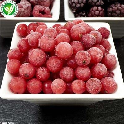 Wild 95% Couleur rouge IQF Frozen Lingonberry