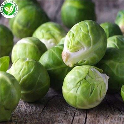 Chou de Bruxelles IQF