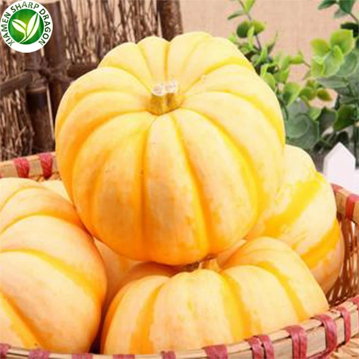 Mini Pumpkin Near Me